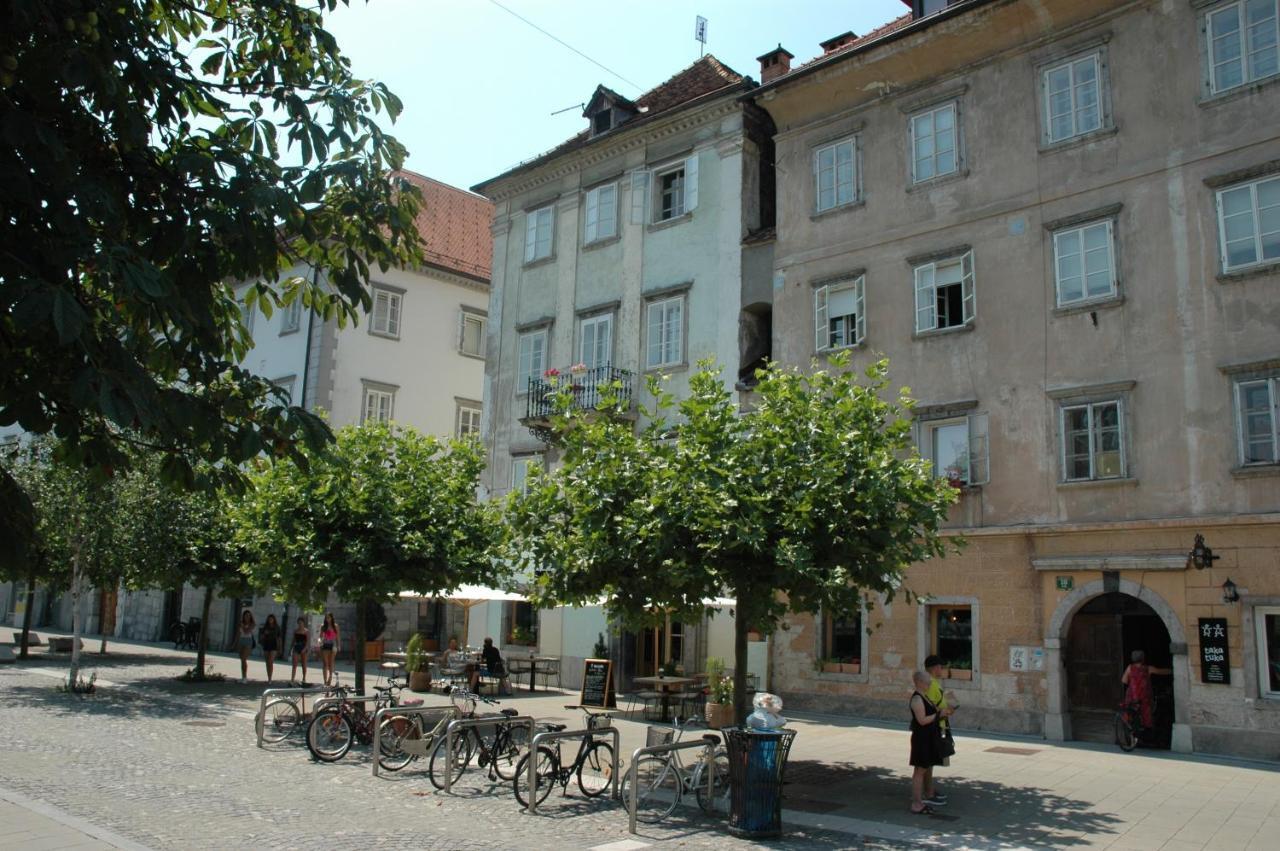 Vitez Apartment I Ljubljana Bagian luar foto