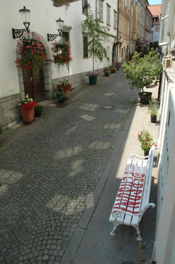 Vitez Apartment I Ljubljana Bagian luar foto